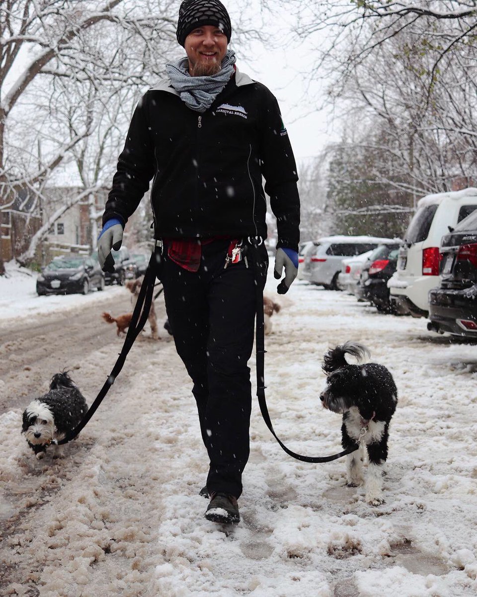 kaninodog's tweet photo. We are happy to welcome Eric to our #dogwalking #team He is in charge of our one and only slow walkers pack and a energetic afternoon #dogpack Get your spot while you still can!! https://t.co/CCMkk7qtAg