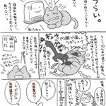 知っていましたか？『低用量ピル』・・・知っておくといいと思いました!
