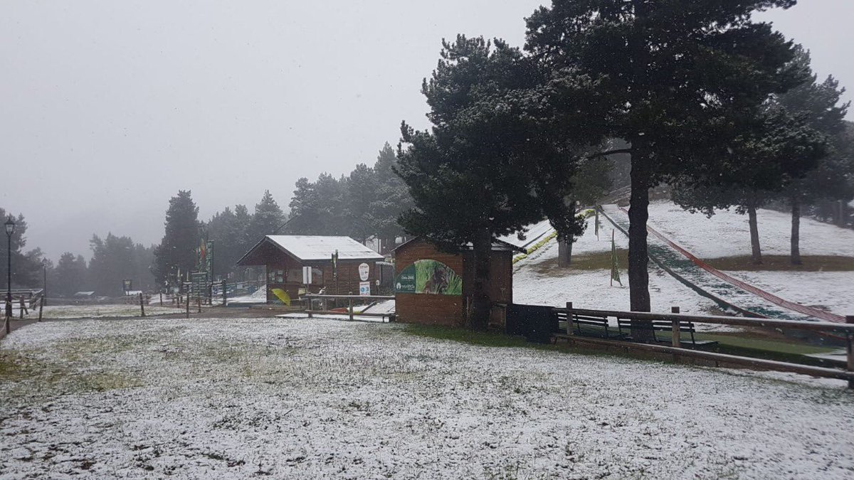 naturland_and's tweet photo. Bon dia i bon diumenge des de la #cota 2000 de #Naturlandia!! ❄️🌲❄️ #neu #snow #fred #andorralovers #visitandorra ##tardoranaturlandia #natura #muntanyes #quebonic https://t.co/5EGC1RA3MO