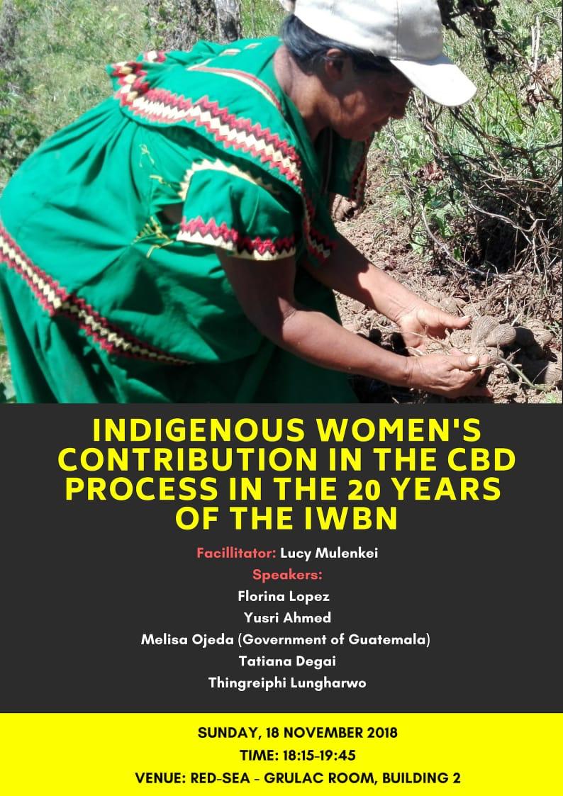 evento paralelo de la Red de Mujeres Indígenas sobre Biodiversidad, sala del GRULAC a las 18:15. Tema ¨Contribución de las Mujeres Indígenas en el proceso del CDB en #20Años de la #RMIB #FIIB #IIFB #MujeresIndígenas #MujeresIndígenasYBiodiversidad #UNBiodiversityConference