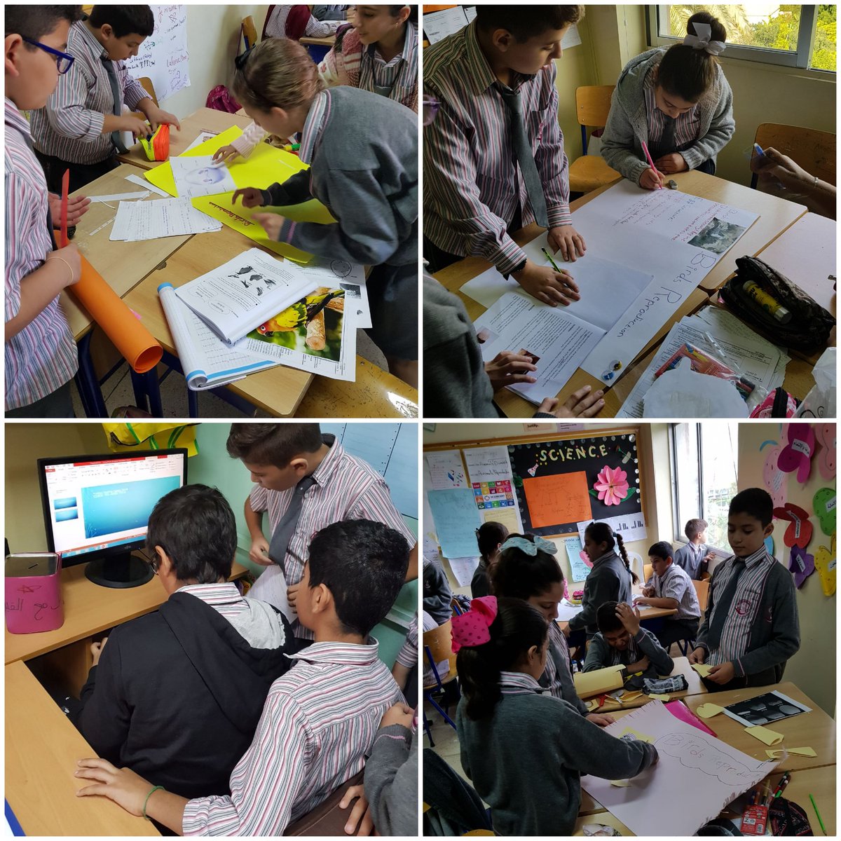 FatimaBasrawi's tweet image. Grade 6 learners were highly motivated working on their project thru #problem_based_learning. They were given a problem, then they worked so hard to learn about #Birdsreproduction inorder to come up with a possible solution.
@MakAishaSchool