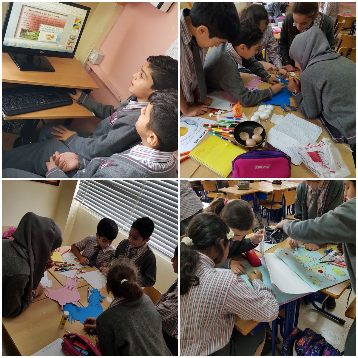 FatimaBasrawi's tweet image. Grade 6 learners were highly motivated working on their project thru #problem_based_learning. They were given a problem, then they worked so hard to learn about #Birdsreproduction inorder to come up with a possible solution.
@MakAishaSchool