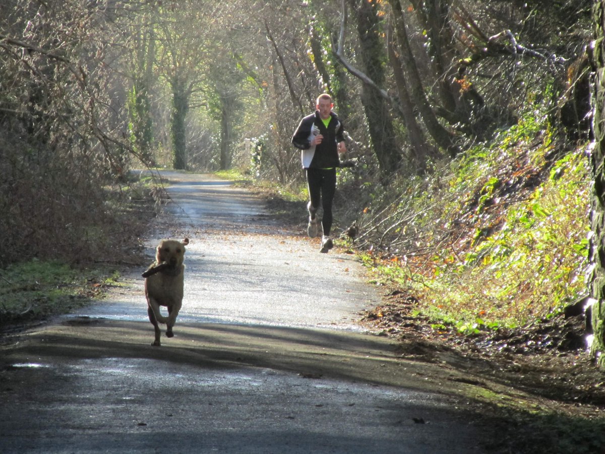 Tarka Trail tweet media