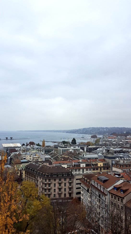 Culture_bean's tweet photo. Are you following our adventure in Switzerland? We're visiting Geneva, Montreux &amp; Interlaken. We've already explored some beautiful places and there's still more to come. Stay updated with my stories https://t.co/gaXNAszpEC @MySwitzerland_e #inLOVEwithSWITZERLAND #travelblogger https://t.co/n1zRx3TlwK