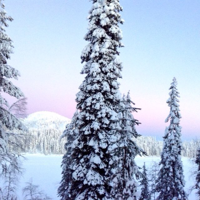 thisisFINLAND's tweet photo. RT @PirkkoVihko: #thisisFinland #thisisLapland #thisisKuusamo This is #kaamos when day is short but there is white snow and stars on the sky. You can enjoy sauna, fireplace , blue moments. I love this time of the year. https://t.co/mblHCwr09V