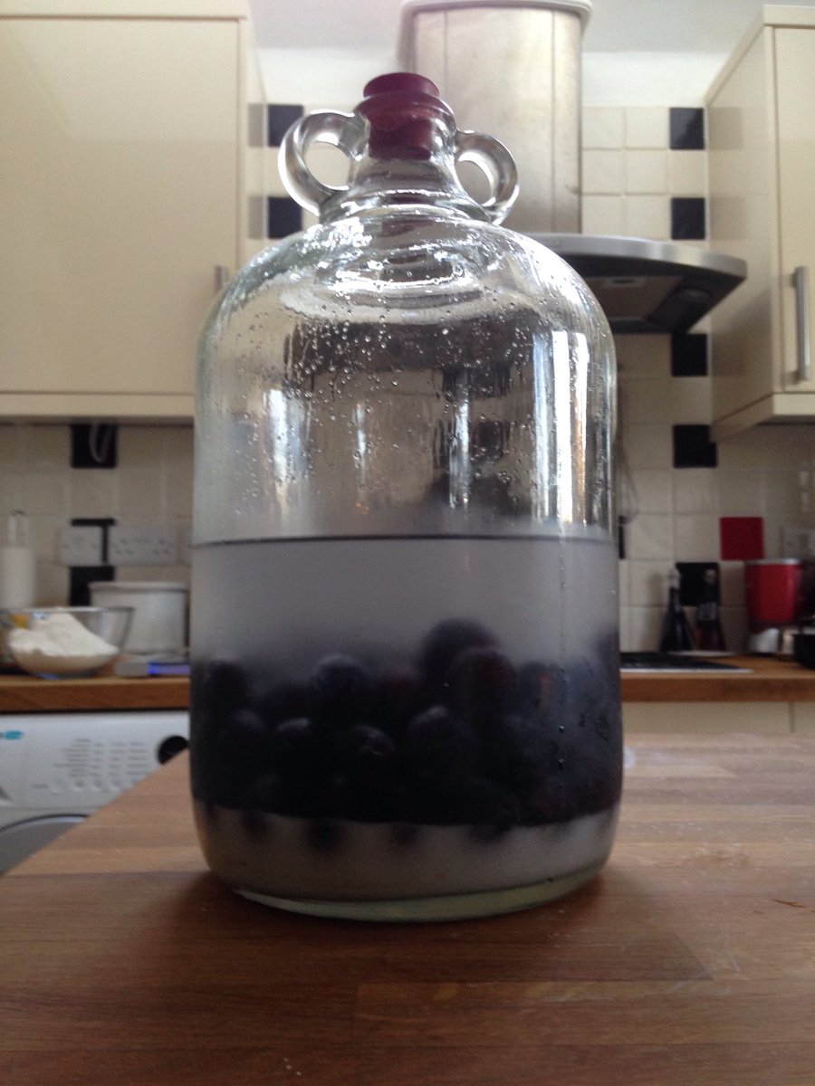 A_Somers's tweet photo. Time to start using all the fruit we've grown/picked over the summer - have started with Sloe Gin! https://t.co/4xv9P1eCFZ