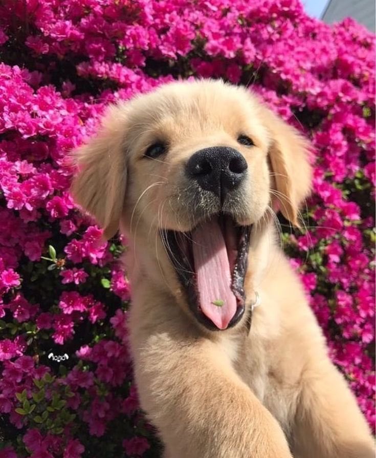 ibrhemhema1's tweet photo. cute 🌸 https://t.co/cKdAc6DG9l