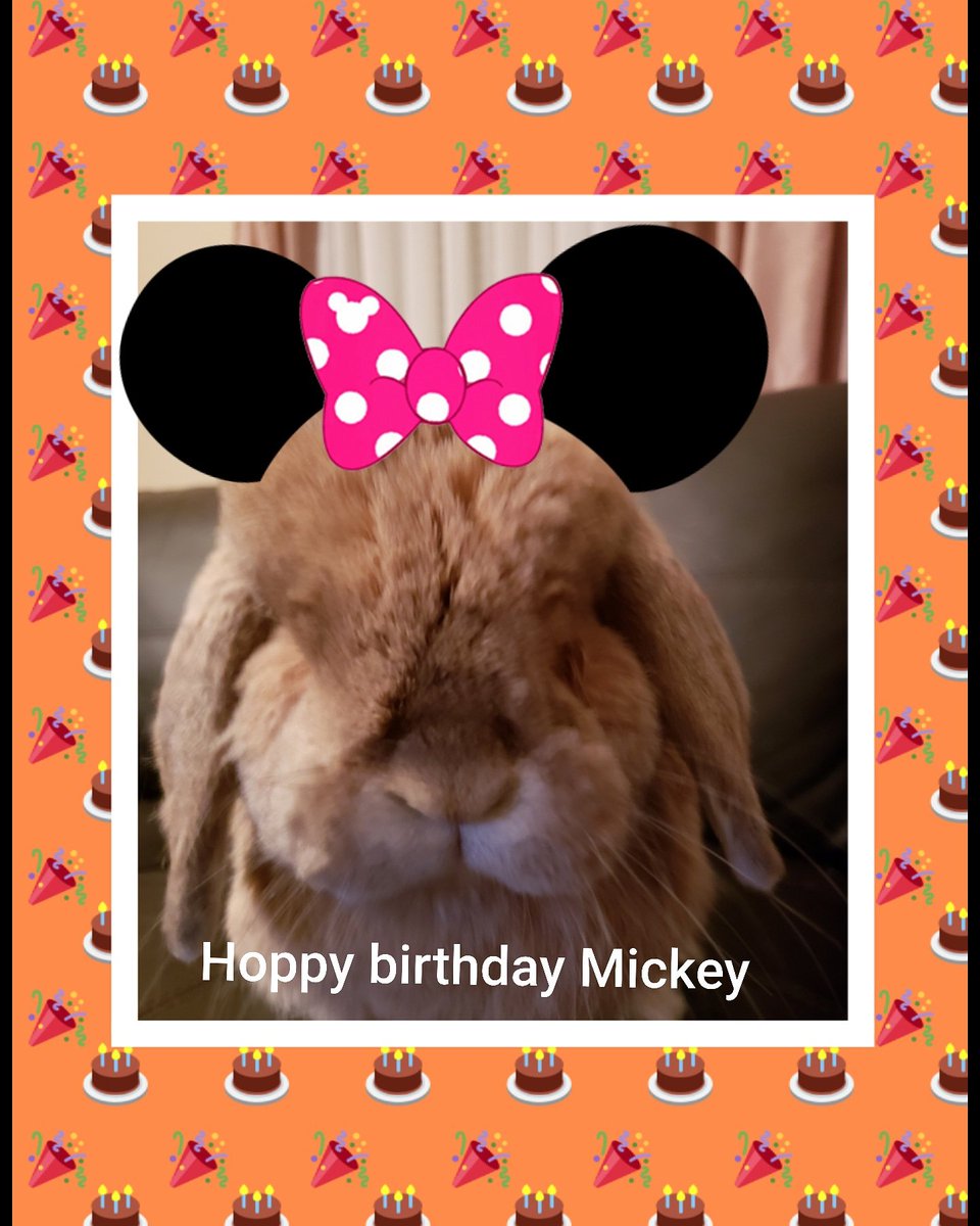 96blueicebunny's tweet photo. Hoppy birthday #MickeyMouse #DisneyParks #90yearsofmagic https://t.co/DJyuCM1XrR