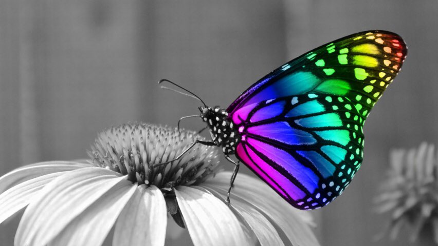 t7e2e's tweet image. No, we always don’t get what we want. But consider this: There are people who don’t have what you have right now. #BlessedAndGrateful  #SuccessfulThoughts