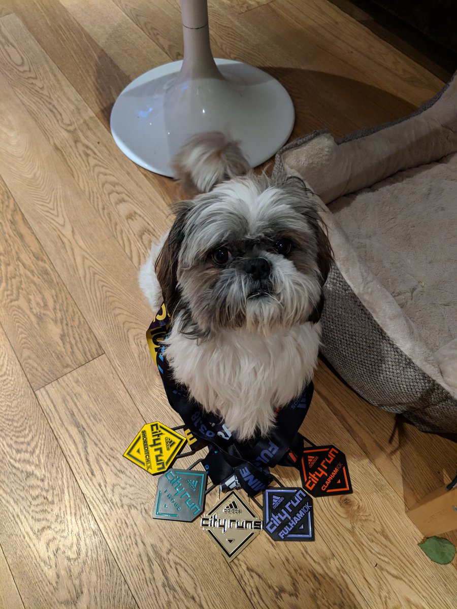 oanamondy's tweet photo. And that's a wrap! Thank you @cityrunsLDN for organizing all the events. It's been a great experience. My poochie and I are really proud of our medals ☺️ #TakeChargeLDN #Fulham10k #Shoreditch10k #Clapham10k #1hourcityrun https://t.co/byrUJXxe8e
