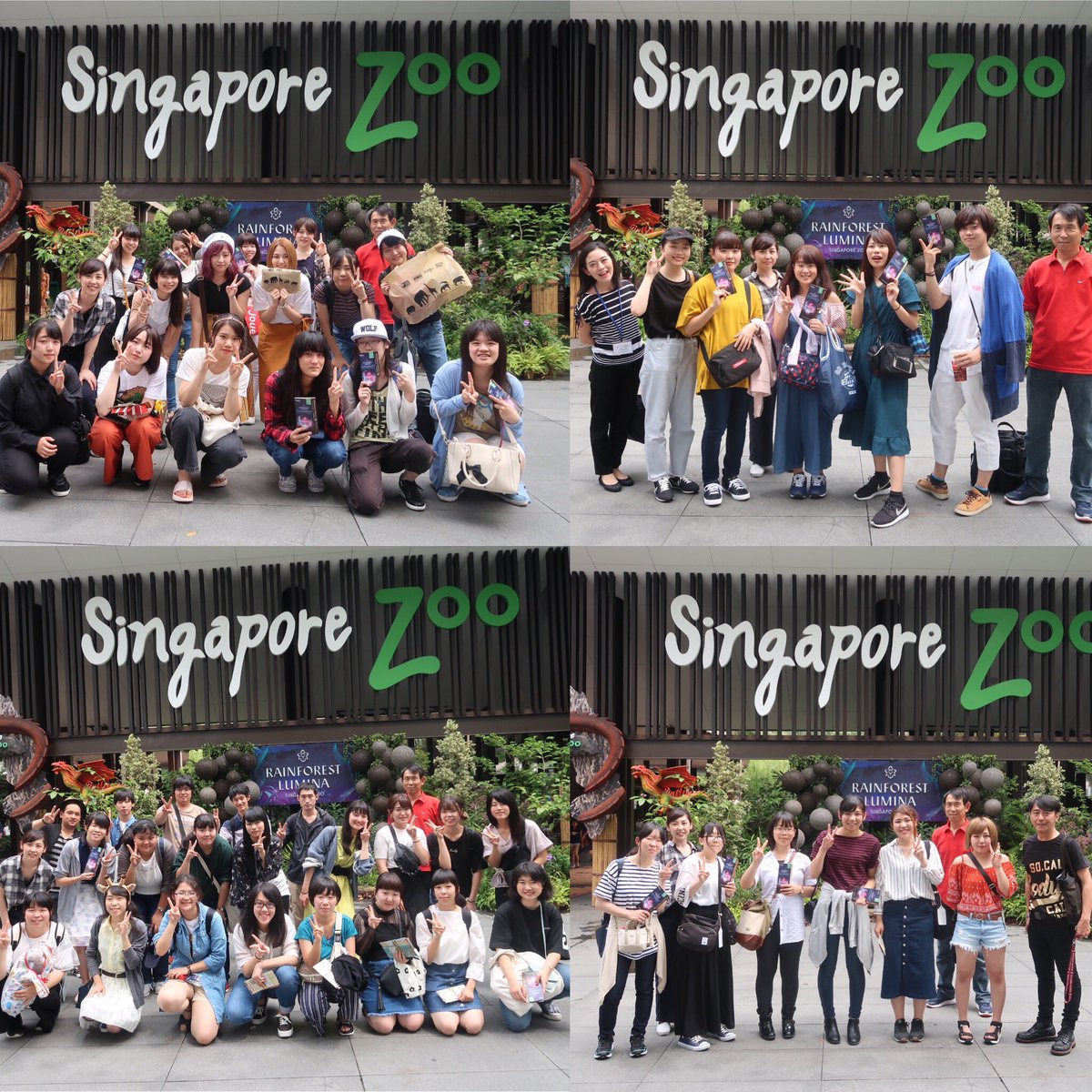 国際ペット総合専門学校 海外研修旅行３日 その1 リバーサファリ シンガポール動物園へgo ホテル出発時は雨でしたが次第に晴れて楽しむことがでしました 至近距離で動物を観察でき パンダもガラス越しではなくとても近くで観察できました 国際