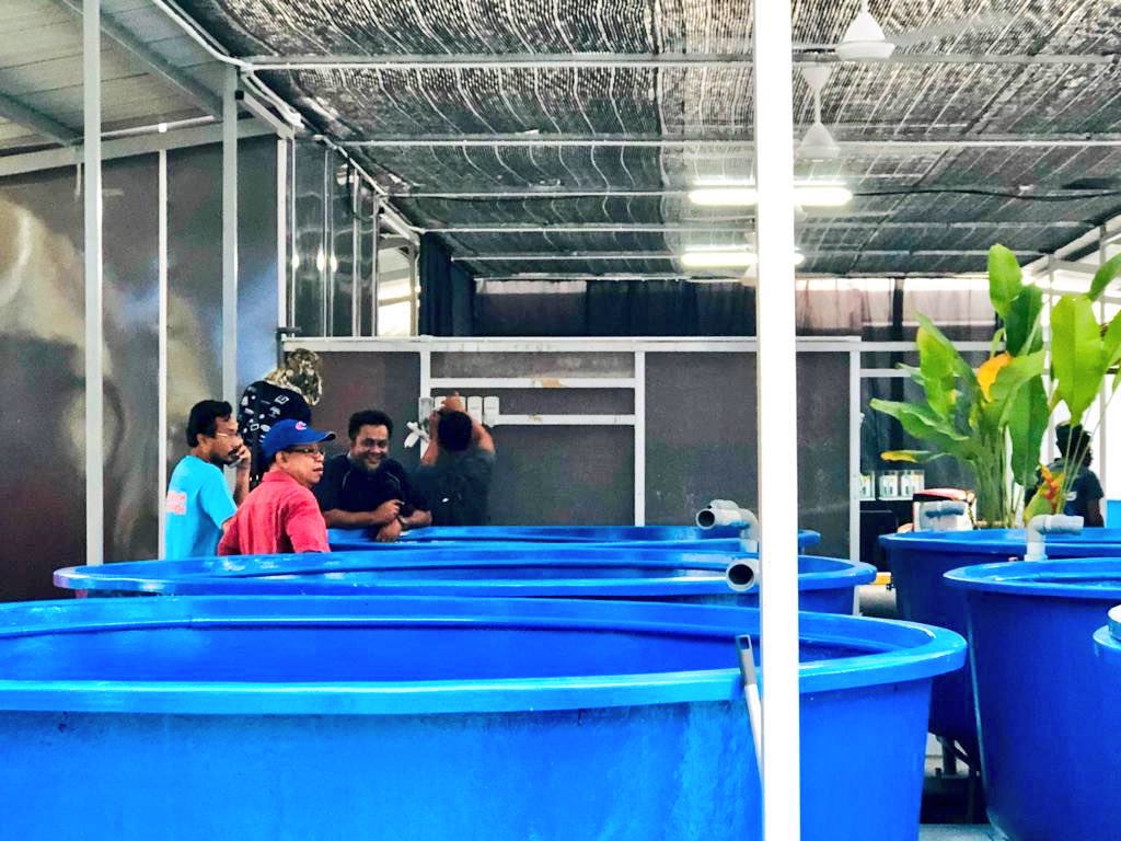 dofmalaysia's tweet photo. Kehangatan #MAHA2018 kian terasa! Persiapan akhir #myDOF Valley, Laman Perikanan @maepsserdang. Pastinya menjanjikan WOW yg terbaik! Jom pi #MAHA2018 

#myDOF #penerajuperikanan #kingdomofshark #duniasantuariikan #tamanlautkhazanahnegara https://t.co/wnaF32Ms19