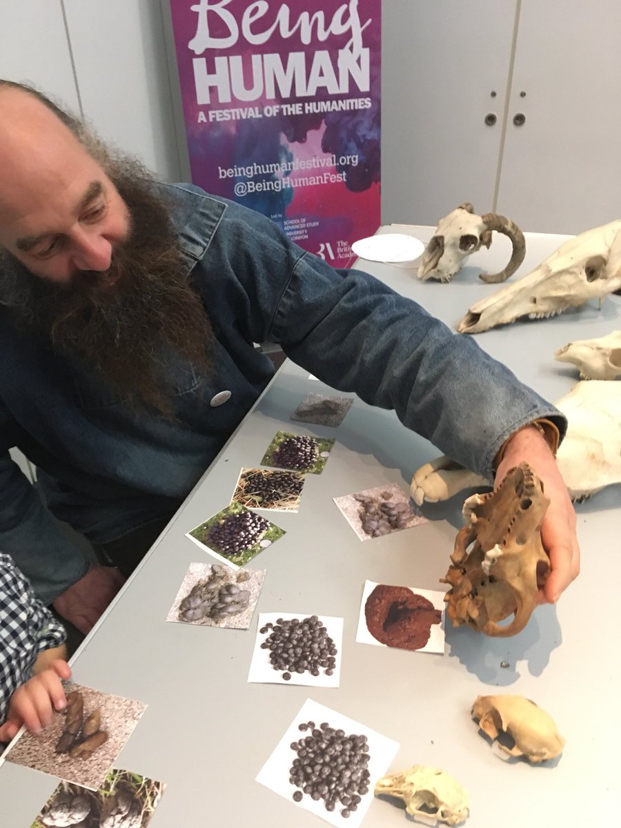 HumAnE_Arch's tweet photo. Animal tracking. Identify the skulls and match them to their poo! @BeingHumanFest @RAMMuseum https://t.co/gp6lhATJ44