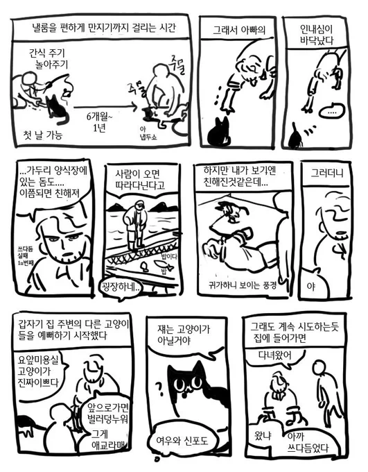 신포도 