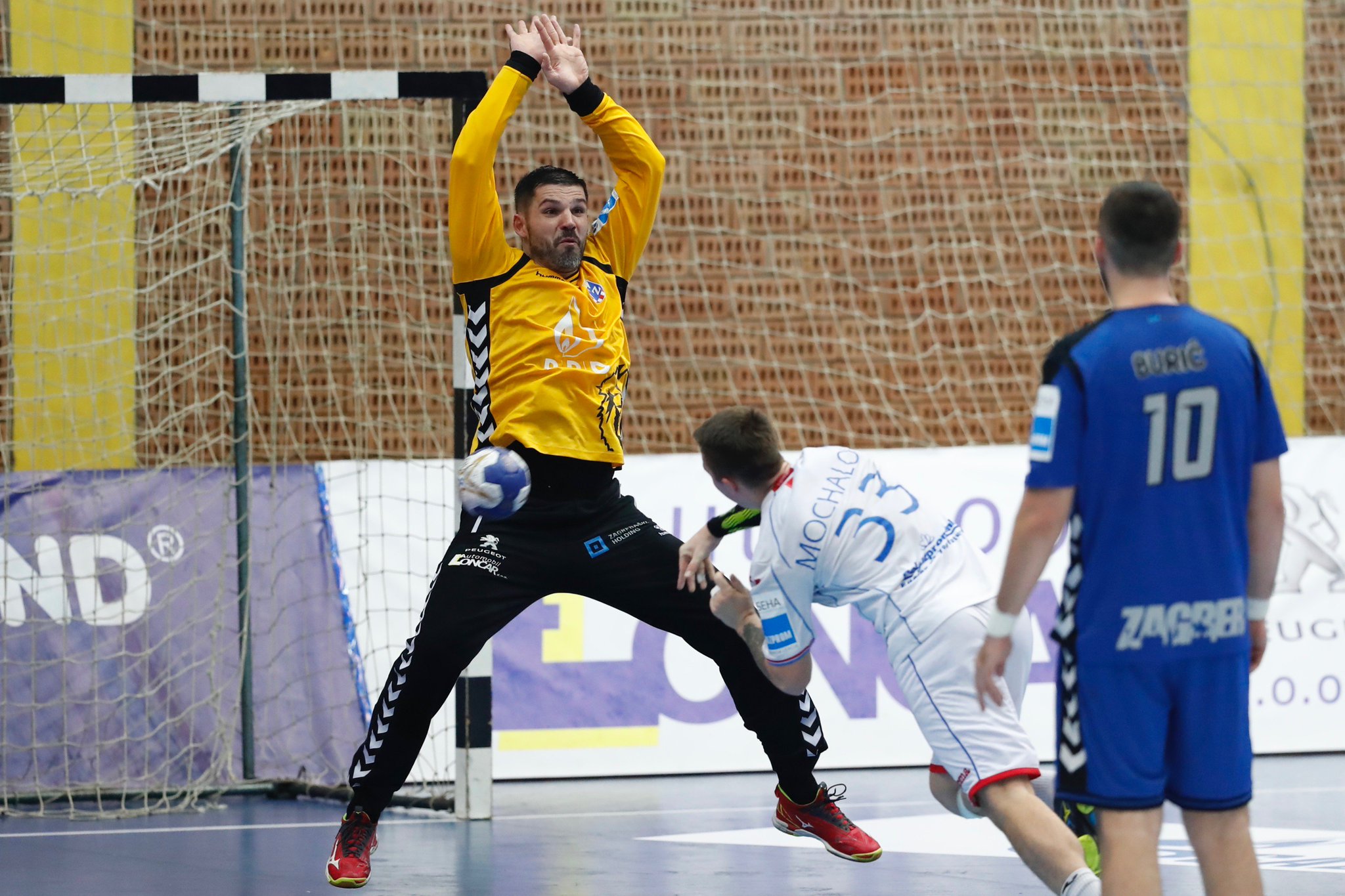 seha handball league