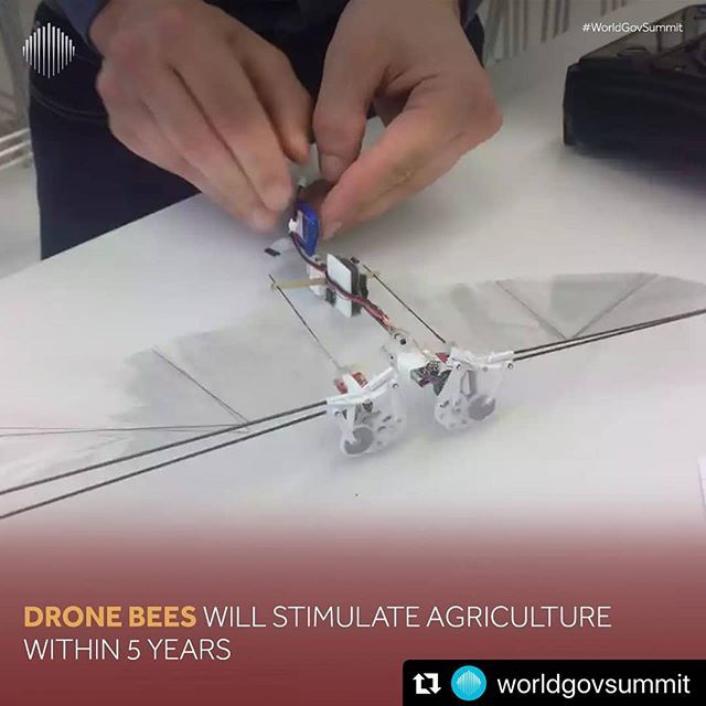 #Repost @worldgovsummit with @make_repost ・・・ To combat the effects of global warming and pesticides, scientists are creating bee-like drones for pollination. #WorldGovSummit ابتكر العلماء طائرات بدون طيار تشبه حركة النحل لتلقيح النباتات، وذلك من أجل مكافحة آثار ظاهرة الاحت…