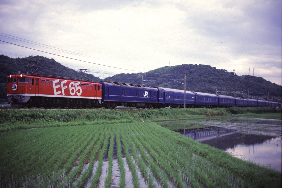 1118の日 EF65 1118は、あまり撮影できませんでした。 ①1998年7月10日