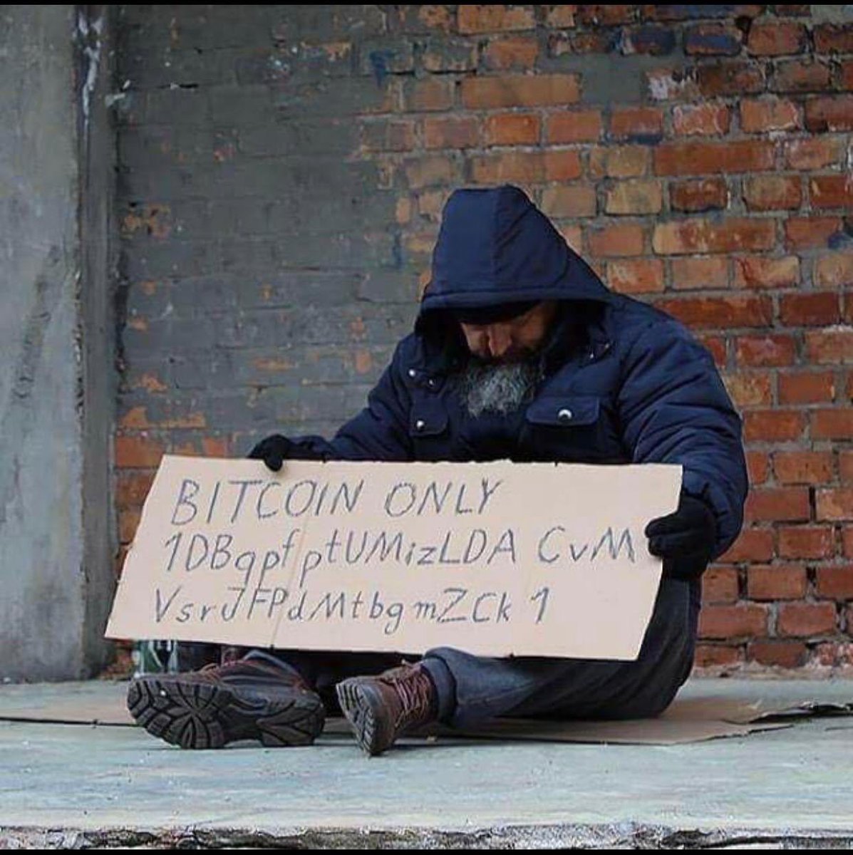 xrptwin's tweet photo. @ProfFathead Is this your friend? https://t.co/wLVhMhMyxW