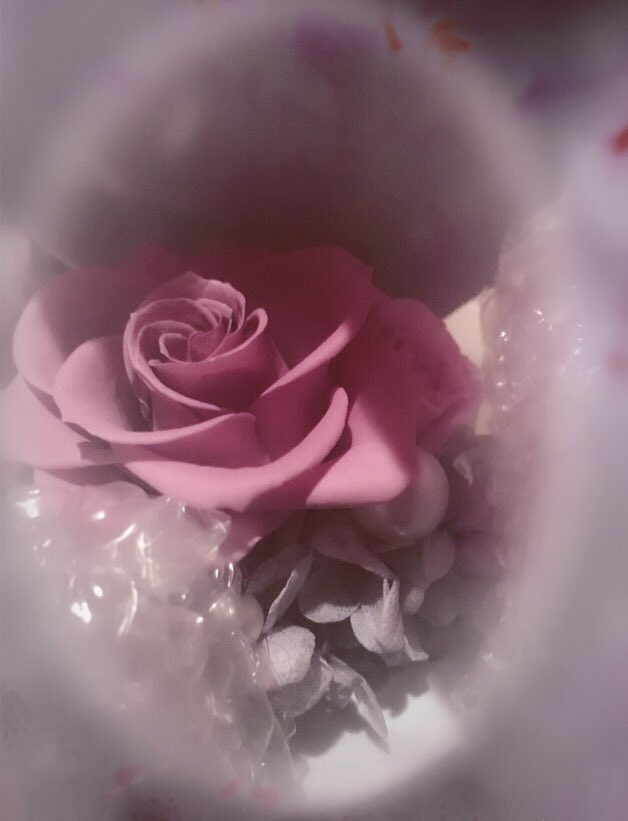 CREA666LCR's tweet photo. CRECREめっちゃ
楽しくて面白かったーーー💓
くれあちゃん改めて
Happy Birthday👻🎶
またCRECREで宇宙から地上に
上陸しようね👻
ブリザードフラワー🌹
ありがとう!
めっちゃ可愛い💜
#CRECRE
#CREA
#perfoism
#LuCifeR https://t.co/MKfRXHKhWr