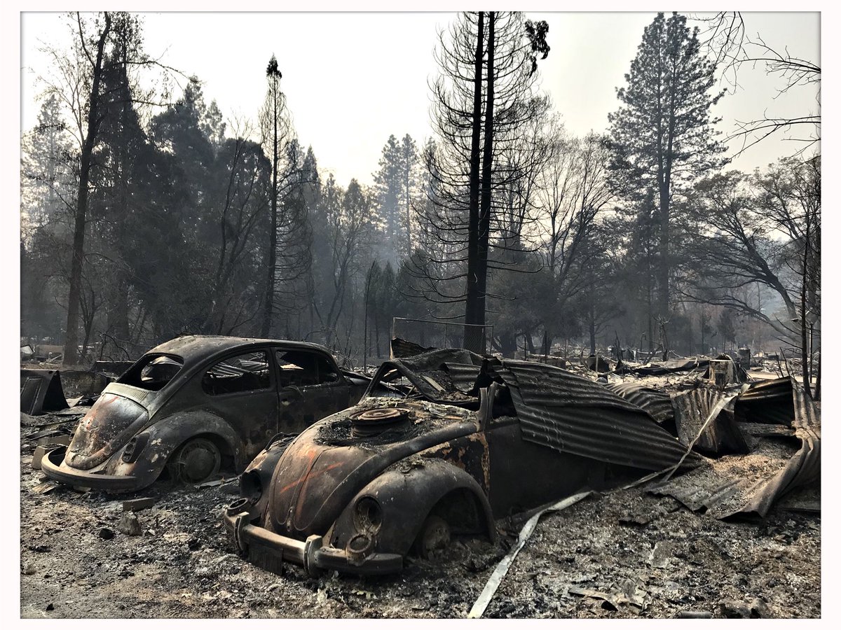 Jens König tweet media