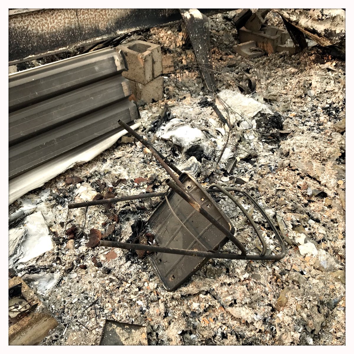 Jens König tweet media