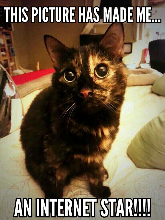 The Darque Queen tweet media