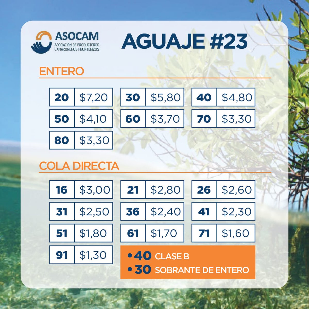 Los precios del camarón estan llegando a niveles históricos, en estos momentos la lucha es por recuperar inversión y no perder. Es hora de organizarnos y buscar como ser eficientes y sobrevivir. <a href="/CampanaPablo/">Pablo Campana Sáenz</a> <a href="/MinAcuaPescaEc/">Min.AcuaculturaPesca</a> <a href="/jcamposanoc/">José Antonio Camposano C.</a> <a href="/monicamora65/">Monica Mora</a> <a href="/ASOCAM2/">ASOCAM</a> <a href="/Mercy2ACastro/">Angélica Castro</a>