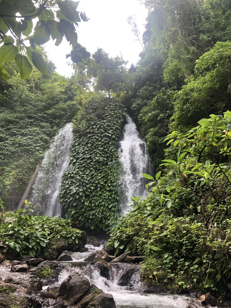 trisiaaaaa_'s tweet photo. This is one of the prettiest WATERFALLS that I've ever seen in my whole damn lifeππβ€οΈπ π¦
#ExploreBicol https://t.co/wJZMKxK8b4