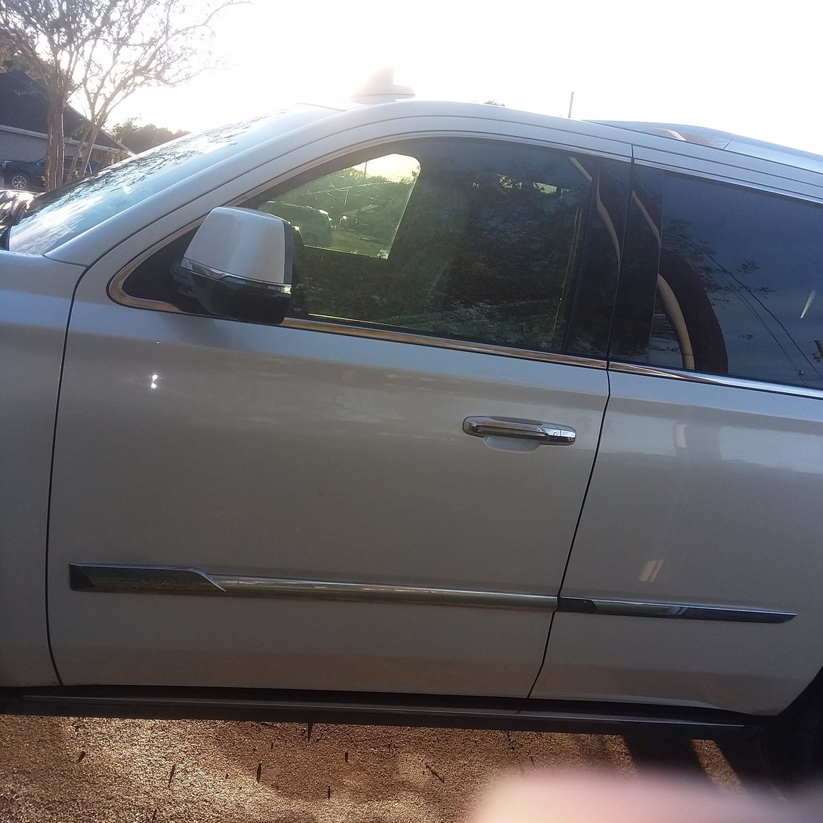 StatusShowroom's tweet image. #showroomstatus