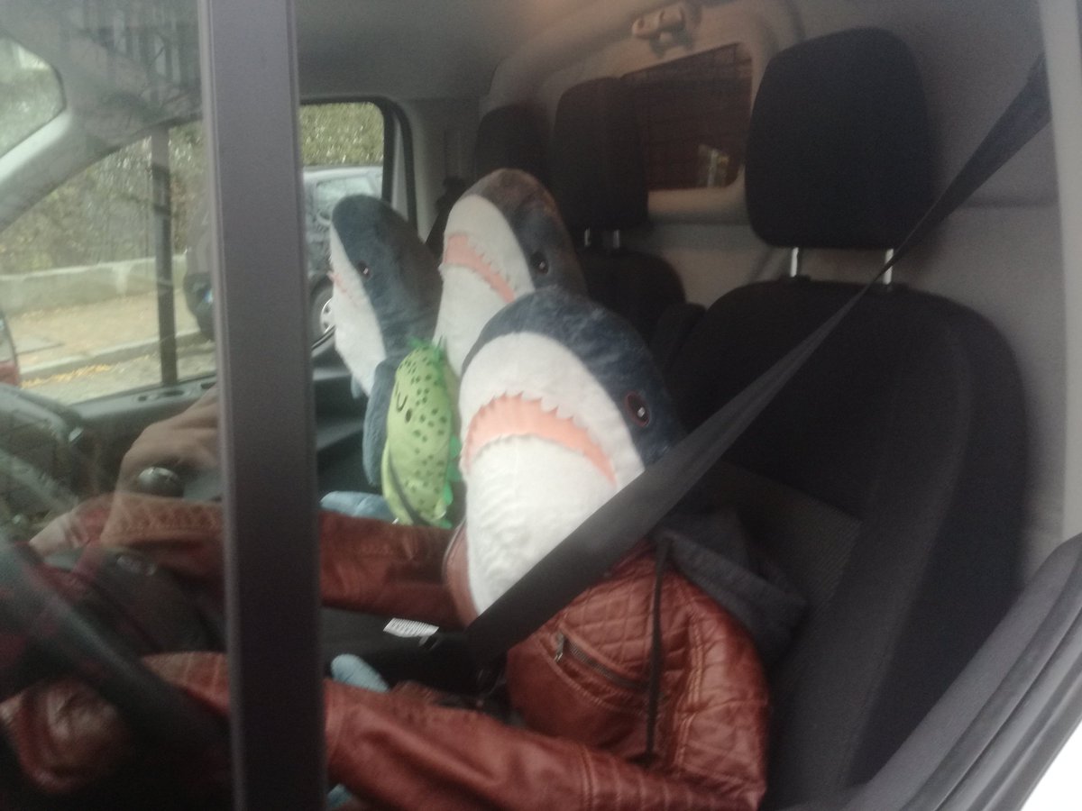 DasRüdi🍉 - dasruedi.bsky.so tweet media