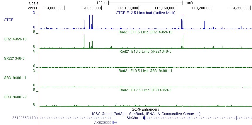 HELP! Hi Tweeps. I wrote @abcam bc several lots of their ChIP-grade Rad21 antibody #ab992 aren’t working. now they offer lot #GR3235714 as a replacement. Anybody knows if this lot is working for ChIP-seq? #antibodiesmatter Find the non-working lots here: abcam.com/rad21-antibody…