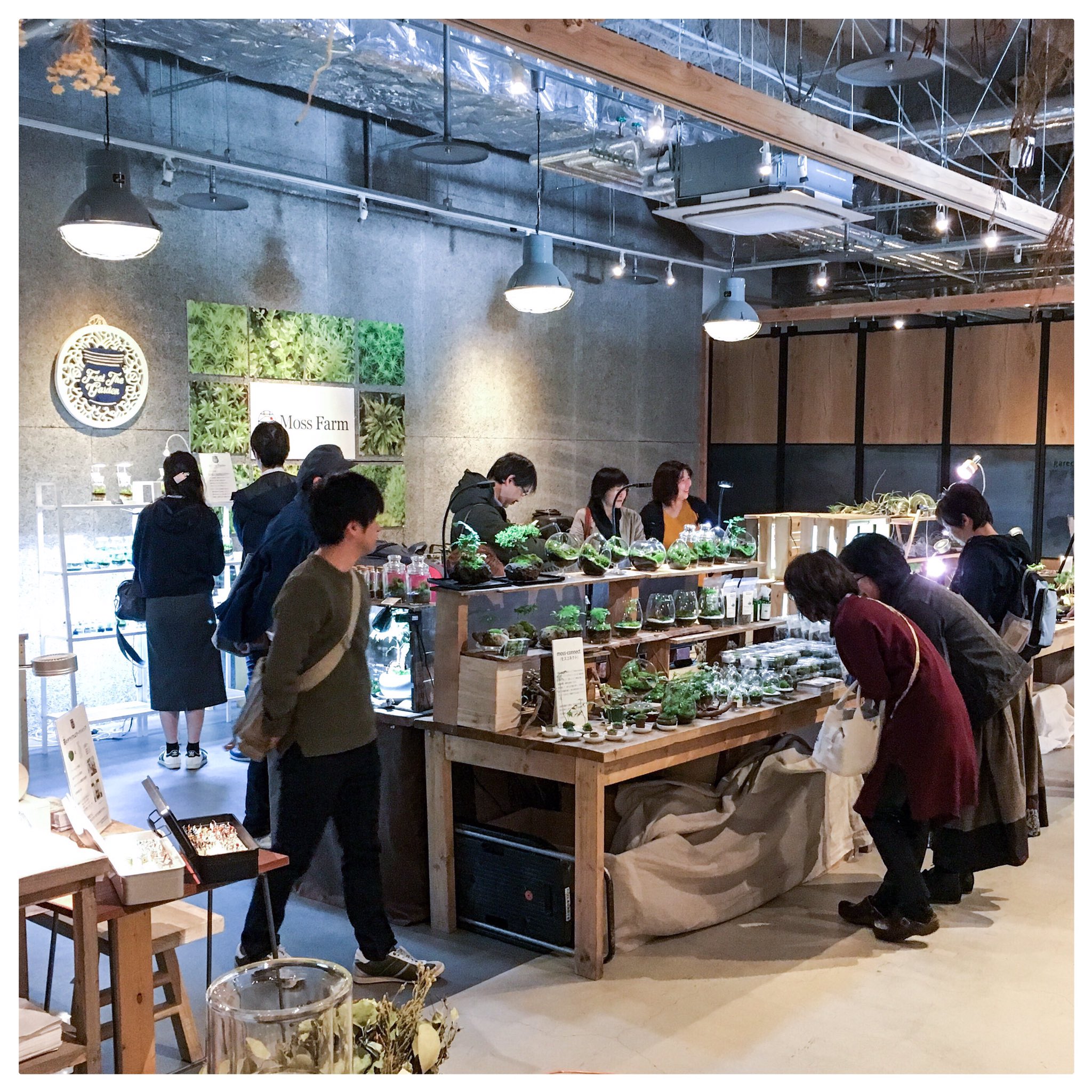 Feel The Garden 体験型植物イベント Nabolo 3日目無事終了致しました 来週は順次各出店者から追加納品されます 名古屋 グローバルゲート Garage 名古屋 ワークショップ テラリウム 盆栽 多肉植物アレンジ ハーバリウム T Co Lvbmurwxid