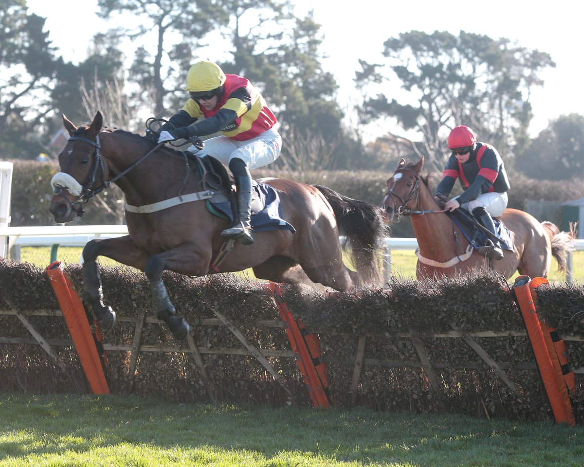 Fontwell Park tweet media