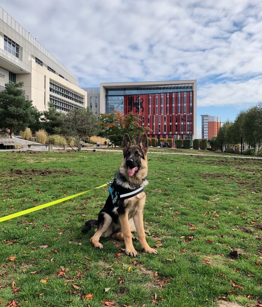 Don’t forget, there’s still time for you to register for our final Open Day of 2018, next Sunday. Sasha enjoyed her visit in October and recommends you try out the Christmas activities, on Eastside City Park! Book now: bit.ly/2RZOPqD 
#bcuopenday