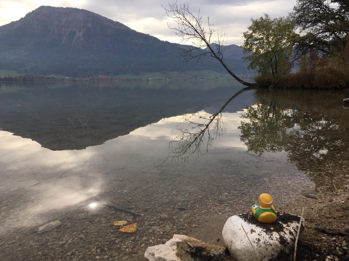 WandererDuckies's tweet photo. Unwinding at the lake

🐣🏞🐣

#Austria #Österreich #Wolfgangsee #Salzkammergut #travel #wanderlust #exploring #lake #lakelife #autumn #fall @news_skgt @salzkammergut_ #unwinding #relax #dream https://t.co/Hxy0TKdrC7