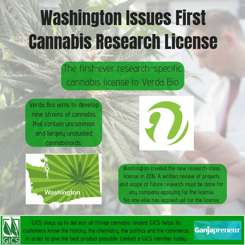 cannabisbuild's tweet photo. Washington has given out its first license to research cannabis. Current laws state that anything not being sold is to be destroyed. This includes no breeding for certain attributes. GICS can help you
-
-
-
#GICS #research #Washington #breeding #study #cannabis #marijuana #invest https://t.co/DJKiCmE1z7