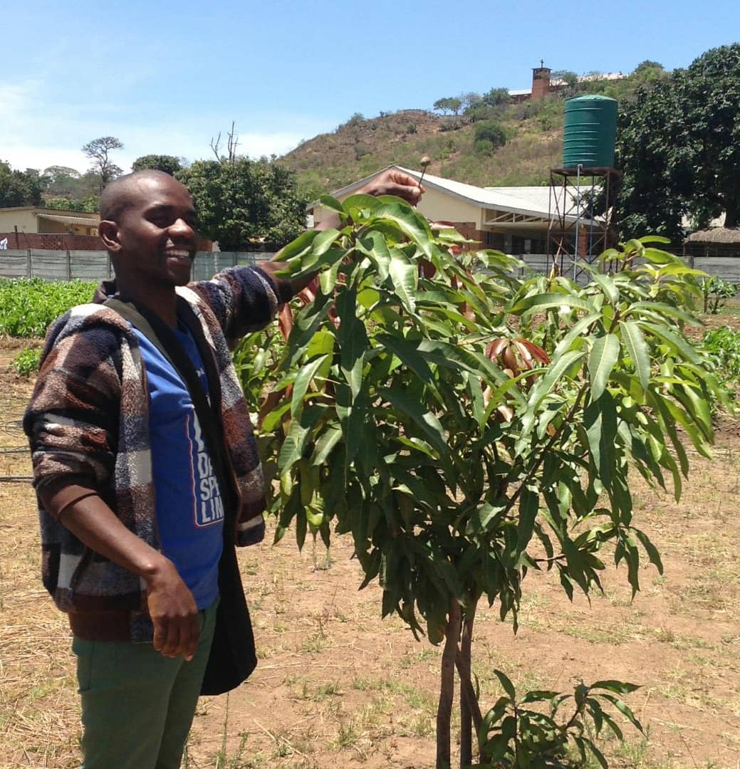 JCIMutareLo's tweet photo. 3 years later we are getting the first fruits of the mango trees we planted at Nzeve Deaf Centre
#Sustainability
#ActiveCitizensImpact #commit2action #SustainableDevelopmentGoals #ClimateChange @jcinews @LuckmoreMazoza @stevegondo1978 @MunyaKen @NgoniChiku @nyashandrew https://t.co/HODiSRgDgX