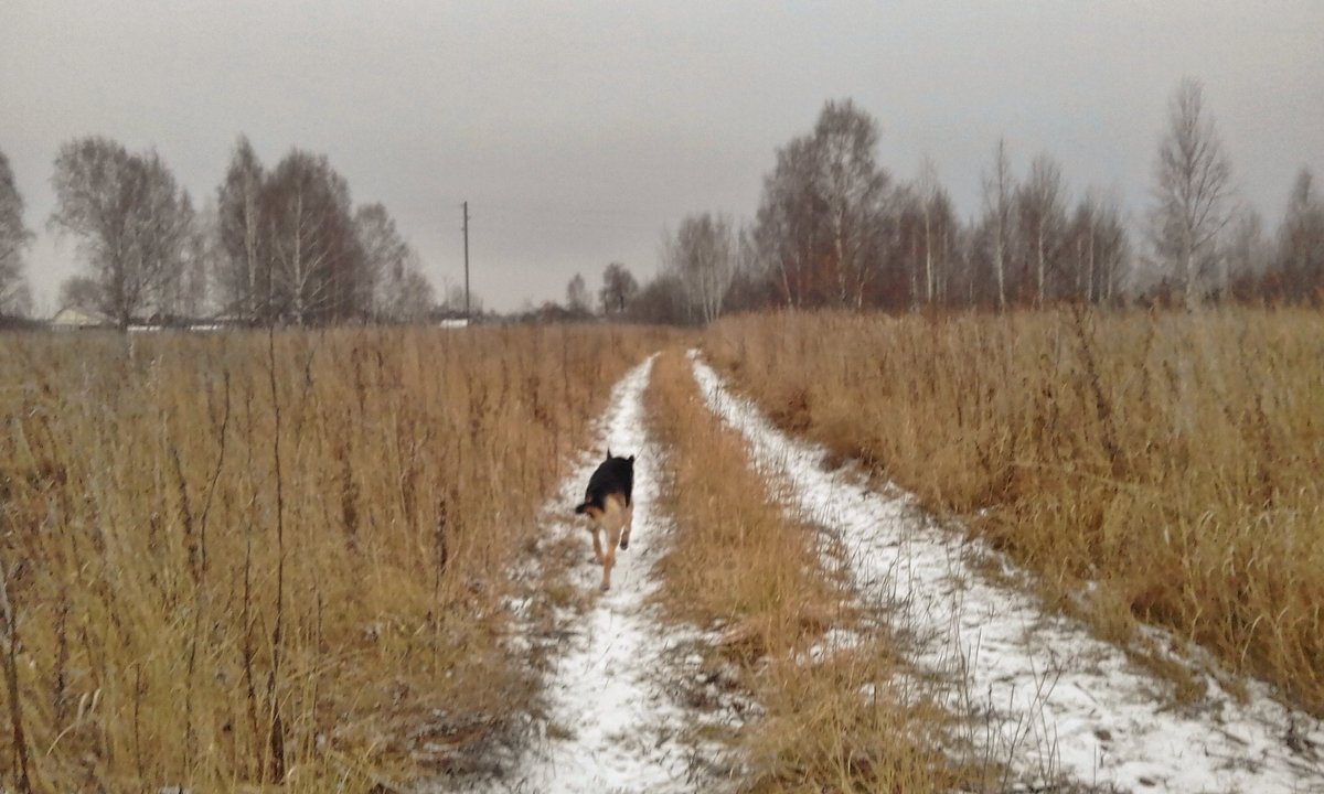 katya_chk's tweet photo. Hello, winter 👋❄🌨 #winter #snow #walk https://t.co/f30u7xtCN6