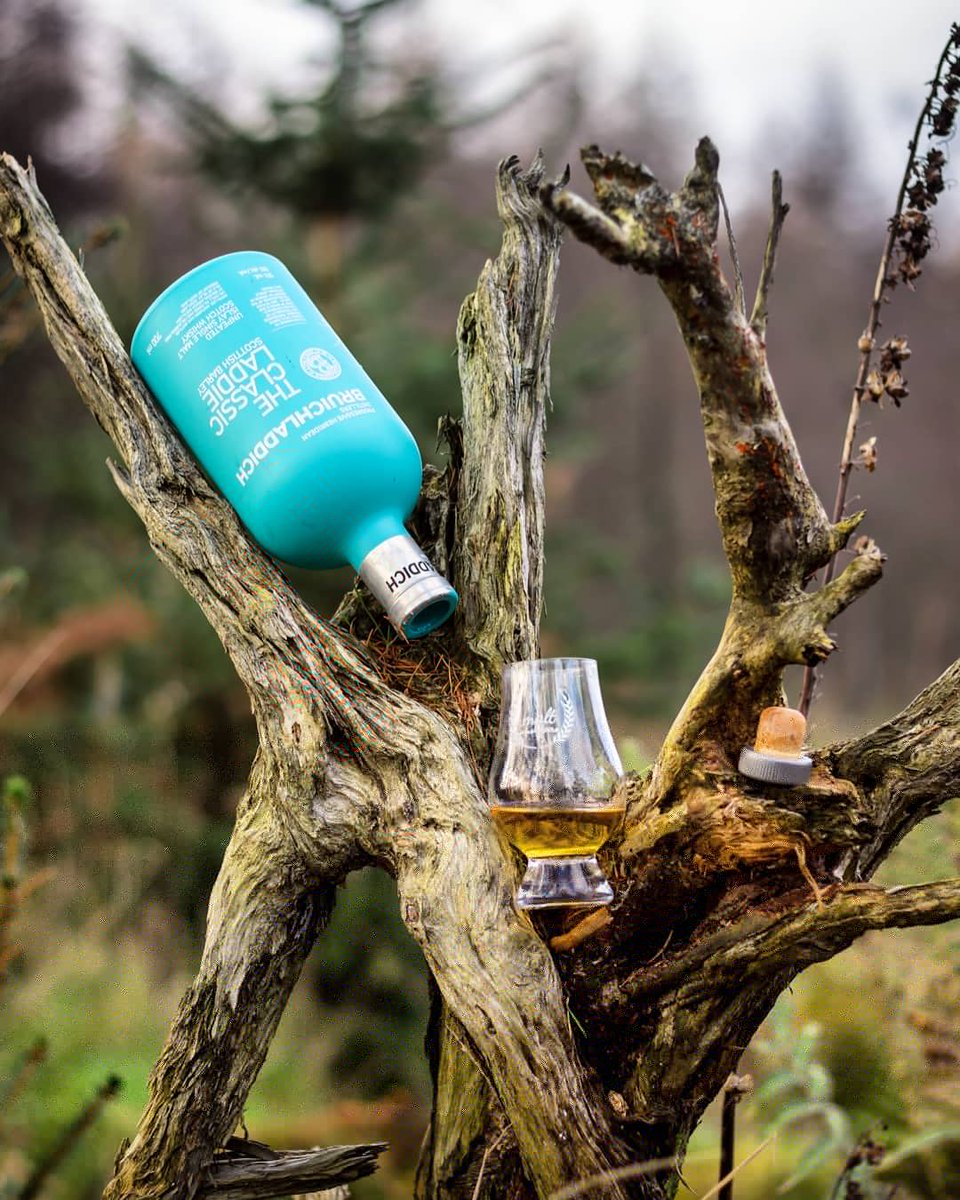 MaltMusketeers's tweet photo. Latest bottle kill taken in the Kinnordy Estate.
@bruichladdich Classic Laddie
50% ABV.
#whisky #Bruichladdich https://t.co/5UGC3GUkDc