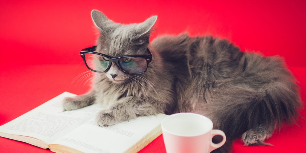 bkshelfdetectiv's tweet image. Starbucks gift card for you, because #teachers like COFFEE &amp;amp; I&apos;m learning to use Rafflecopter for future book giving! RT + Last day to ENTER HERE: kimscritiquingcorner.blogspot.com