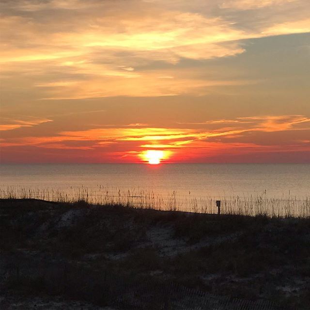 James Isenberg tweet media