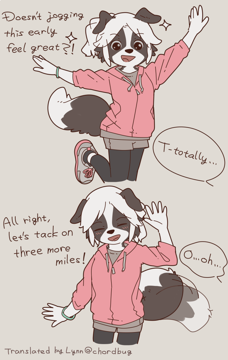 This Border Collie girl is very fit~! 