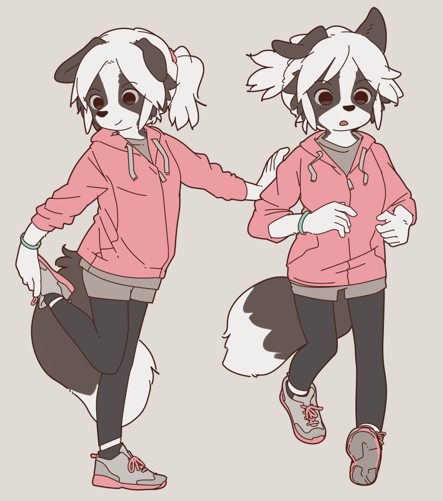 This Border Collie girl is very fit~! 