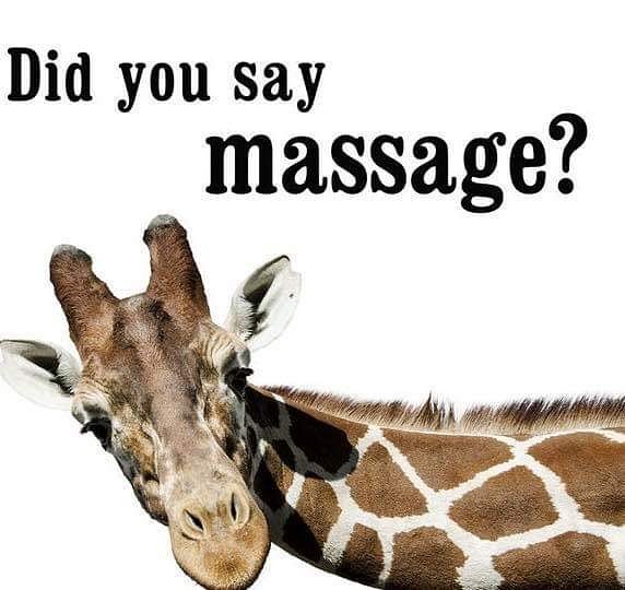 We’ve launched our new and exclusive Well-Being Massage ‼️
💆 💆‍♂️ 

Choose from:

💜 40 Minute Back Massage  £36 
Usually £46

💜 55 Minute Full Body Massage £48                Usually £60

💜 85 Minute Body And Scalp Massage £70                Usually £85