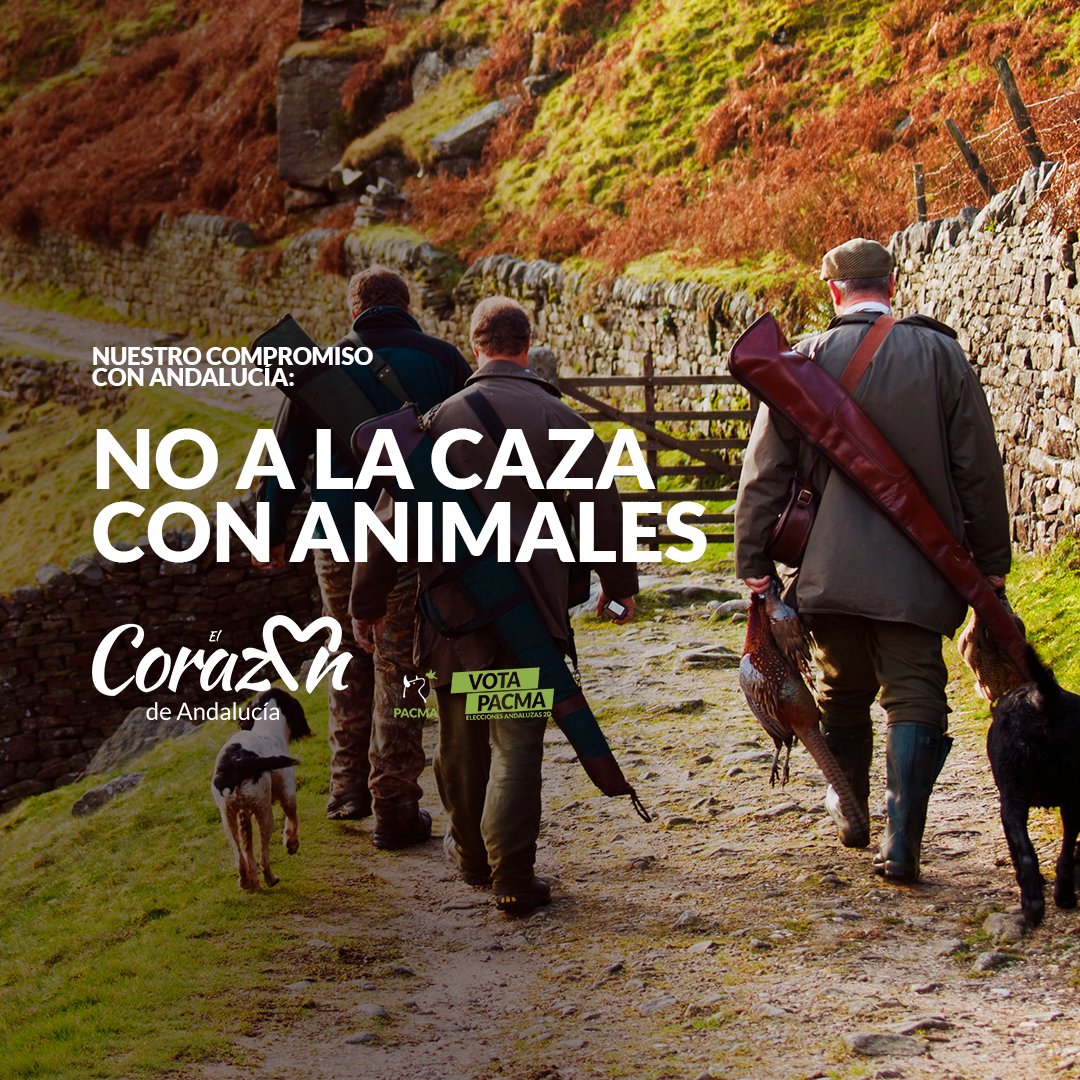 Cardenete's tweet photo. Mientras tanto, @PartidoPACMA es el único que se enfrenta sin miedo al poderoso lobby de la caza y que lleva en su compromiso con Andalucía el fin de la caza y, en particular, la prohibición del uso de animales como herramientas de caza. 

Por algo es #ElCorazóDeAndalucía #2D https://t.co/2IoZPZOmIq