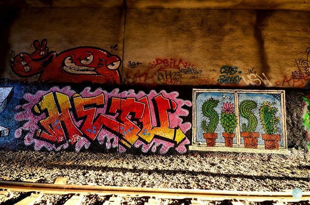 LogicalProgres's tweet photo. #Graffiti #graffitiwall #graffitiworld #streetart #fatcap #art #artwork #graffitiart #urbanart #welovestreetart #bombing #katutaide #instagraffiti #streetartphotography #aerosolart #logical_progression #gallerywall #urbanart #streetartdaily #sprayart #t… https://t.co/r44dB0wRot https://t.co/51mYKIrUY2