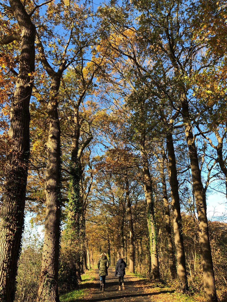 #achterhoek