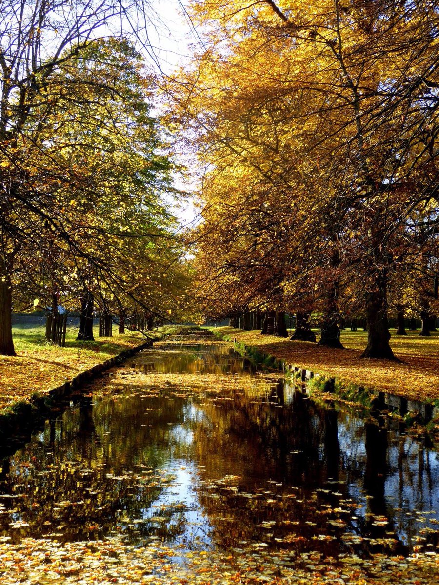 Lynniewest's tweet photo. #autumn in @theroyalparks https://t.co/bQYqj35TlI
