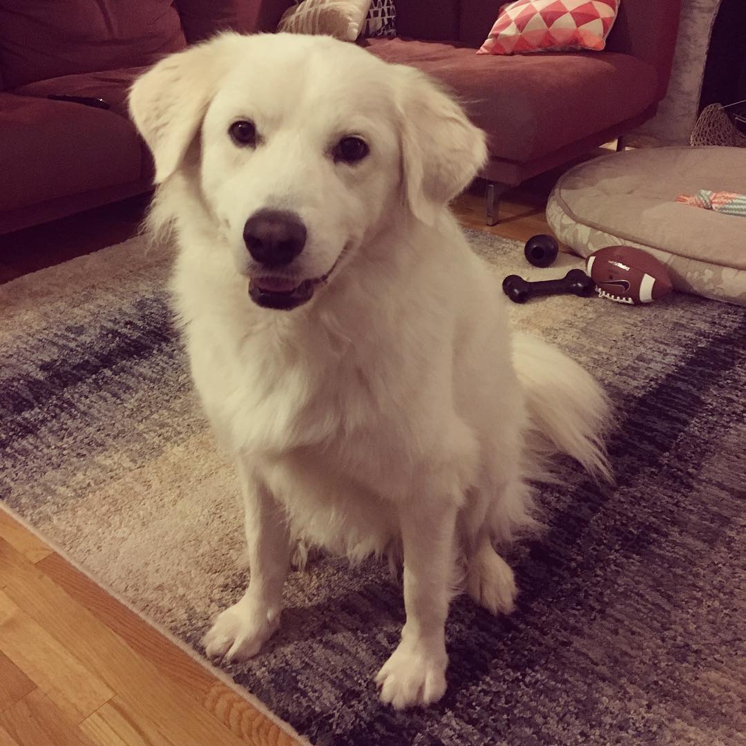 FreeUpAgent's tweet image. 💟