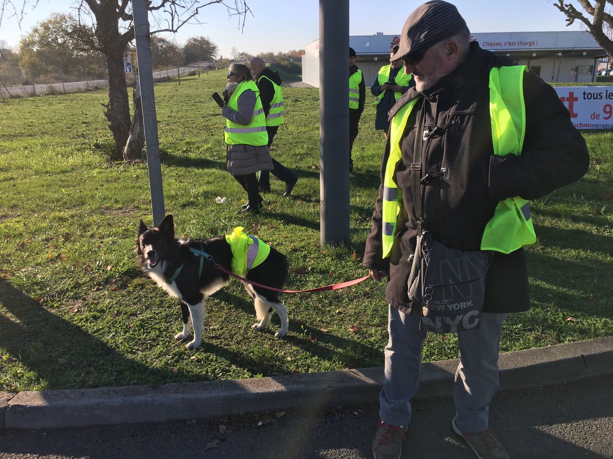 Rullier Jean-François tweet media